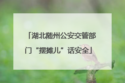 湖北随州公安交管部门“摆摊儿”话安全