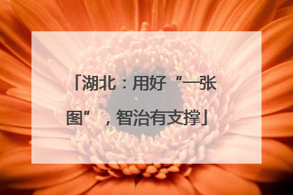 湖北：用好“一张图”，智治有支撑