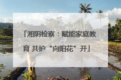 湘阴检察：赋能家庭教育 共护“向阳花”开