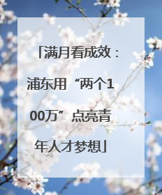 满月看成效：浦东用“两个100万”点亮青年人才梦想