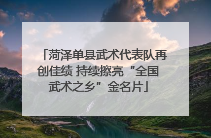 菏泽单县武术代表队再创佳绩 持续擦亮“全国武术之乡”金名片