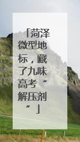 菏泽微型地标，藏了九味高考“解压剂”