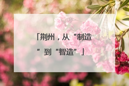 荆州，从“制造”到“智造”