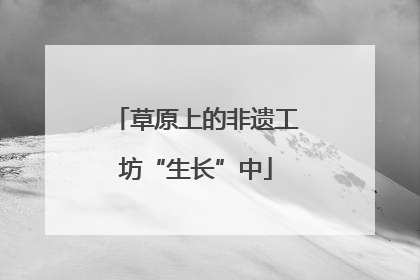 草原上的非遗工坊“生长”中