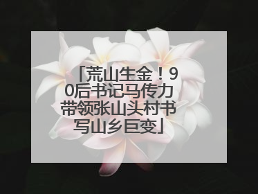 荒山生金！90后书记马传力带领张山头村书写山乡巨变