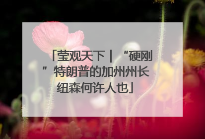 莹观天下｜“硬刚”特朗普的加州州长纽森何许人也
