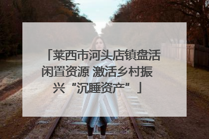莱西市河头店镇盘活闲置资源 激活乡村振兴“沉睡资产”