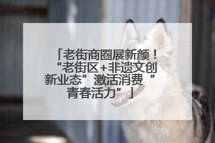 老街商圈展新颜！“老街区+非遗文创新业态”激活消费“青春活力”