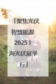聚焦光伏智慧能源 2025上海光伏展举行
