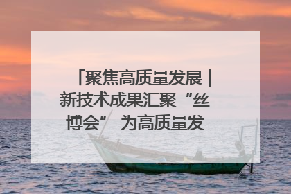 聚焦高质量发展｜新技术成果汇聚“丝博会” 为高质量发展注入新动能
