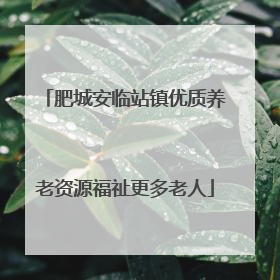 肥城安临站镇优质养老资源福祉更多老人