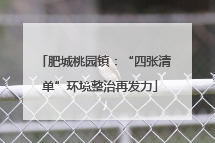 肥城桃园镇：“四张清单”环境整治再发力