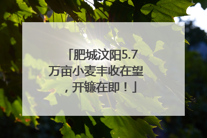 肥城汶阳5.7万亩小麦丰收在望，开镰在即！