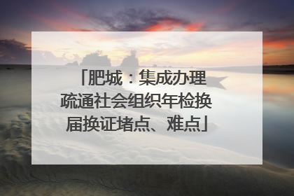肥城：集成办理 疏通社会组织年检换届换证堵点、难点
