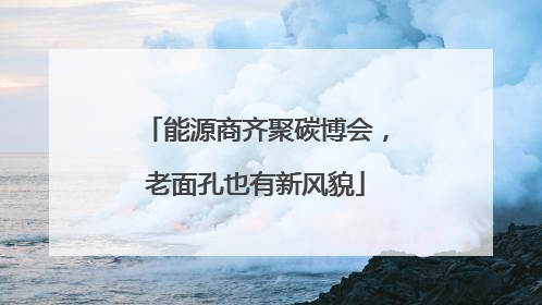 能源商齐聚碳博会，老面孔也有新风貌