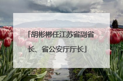 胡彬郴任江苏省副省长、省公安厅厅长