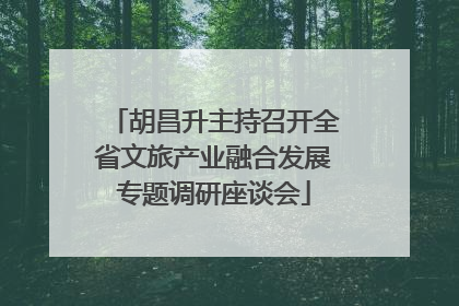 胡昌升主持召开全省文旅产业融合发展专题调研座谈会