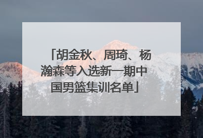 胡金秋、周琦、杨瀚森等入选新一期中国男篮集训名单