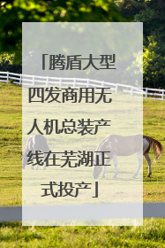 腾盾大型四发商用无人机总装产线在芜湖正式投产