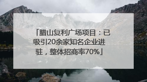 腊山复利广场项目：已吸引20余家知名企业进驻，整体招商率70%