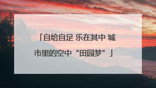 自给自足 乐在其中 城市里的空中“田园梦”