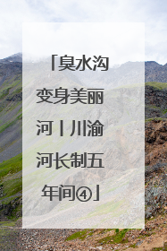 臭水沟变身美丽河丨川渝河长制五年间④