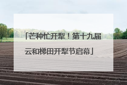 芒种忙开犁！第十九届云和梯田开犁节启幕