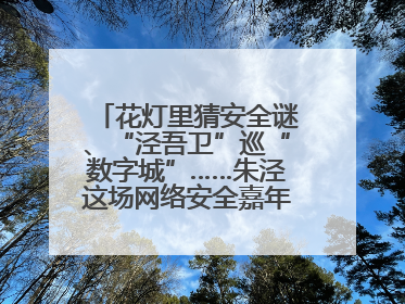 花灯里猜安全谜、“泾吾卫”巡“数字城”……朱泾这场网络安全嘉年华太会玩了