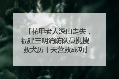 花甲老人深山走失，福建三明消防队员携搜救犬历十天营救成功