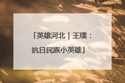 英雄河北｜王璞：抗日民族小英雄