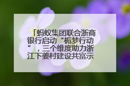 蚂蚁集团联合浙商银行启动“栀梦行动”，三个维度助力浙江下姜村建设共富示范区示范点