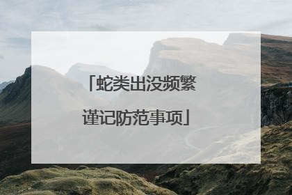 蛇类出没频繁 谨记防范事项