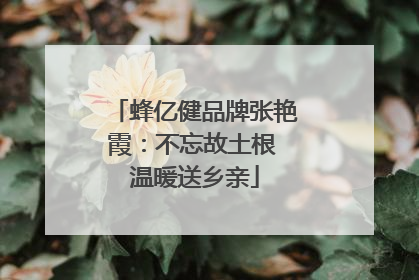 蜂亿健品牌张艳霞：不忘故土根 温暖送乡亲