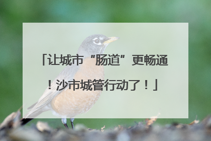 让城市“肠道”更畅通！沙市城管行动了！