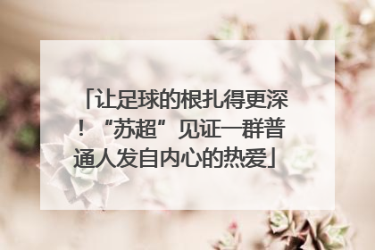 让足球的根扎得更深！“苏超”见证一群普通人发自内心的热爱