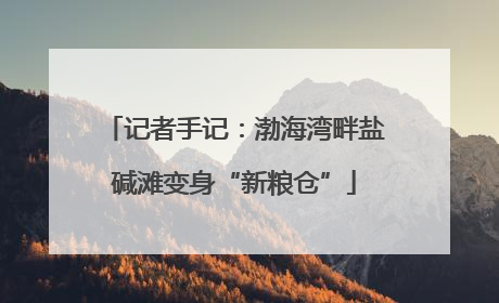 记者手记：渤海湾畔盐碱滩变身“新粮仓”