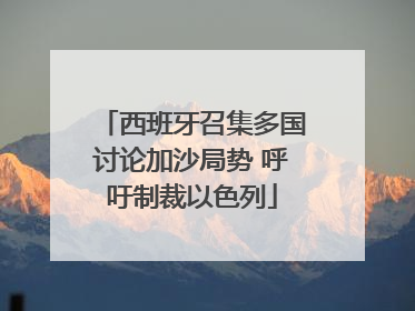 西班牙召集多国讨论加沙局势 呼吁制裁以色列