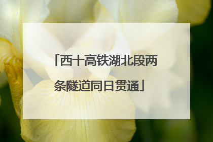 西十高铁湖北段两条隧道同日贯通