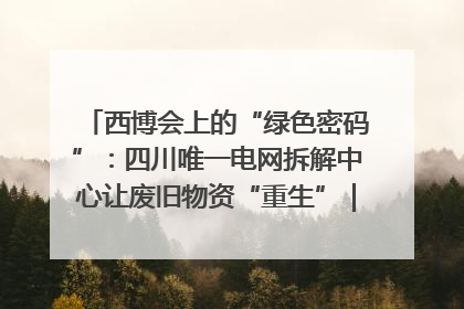 西博会上的“绿色密码”：四川唯一电网拆解中心让废旧物资“重生”｜西博寻“新”记