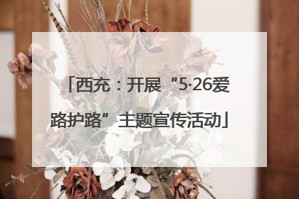 西充：开展“5·26爱路护路”主题宣传活动
