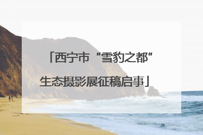 西宁市“雪豹之都”生态摄影展征稿启事