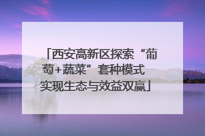 西安高新区探索“葡萄+蔬菜”套种模式 实现生态与效益双赢