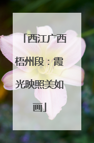 西江广西梧州段：霞光映照美如画