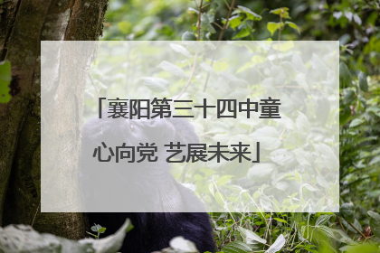 襄阳第三十四中童心向党 艺展未来