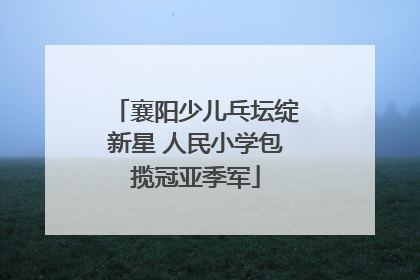 襄阳少儿乓坛绽新星 人民小学包揽冠亚季军