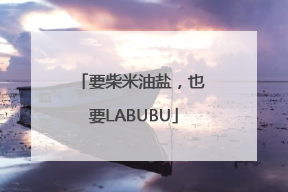 要柴米油盐，也要LABUBU