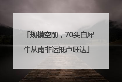 规模空前，70头白犀牛从南非运抵卢旺达