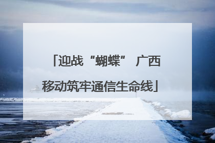 迎战“蝴蝶” 广西移动筑牢通信生命线