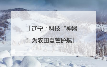辽宁：科技“神器”为农田夏管护航