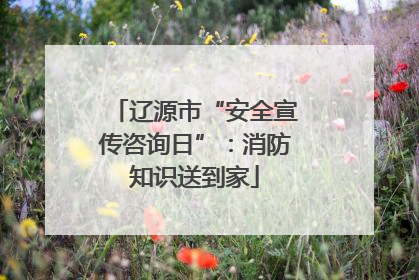 辽源市“安全宣传咨询日”：消防知识送到家